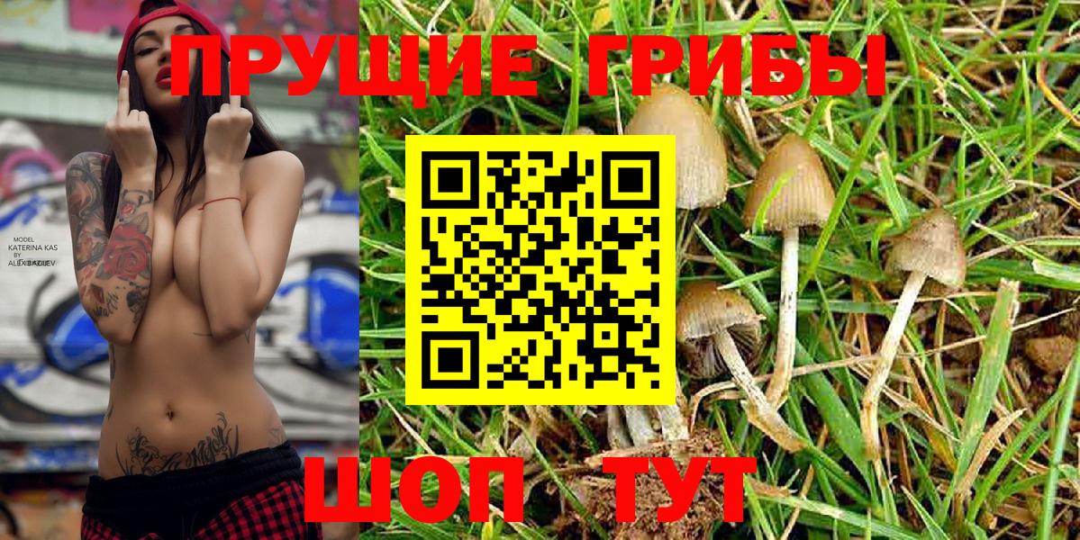 Псилоцибиновые грибы прущие грибы  Псилоцибиновые грибы MAGIC MUSHROOMS  Аша  Вход с VPN 